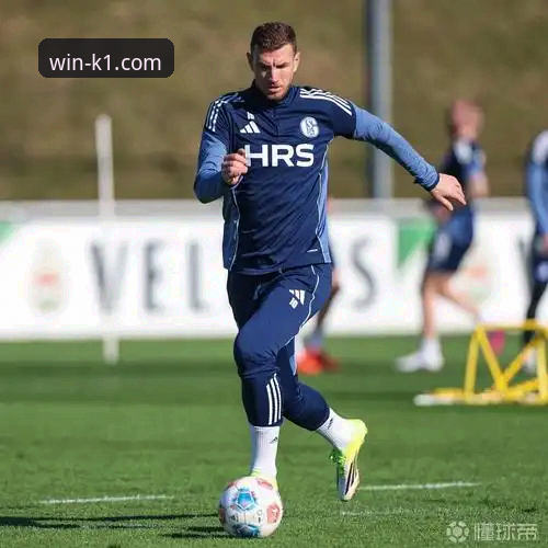 K1体育直播平台 沙尔克04德甲回归计划深度分析:500万欧元新星能否重塑辉煌?——K1体育平台全面解读夏季转会窗动态